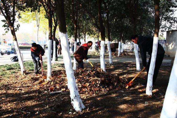 宿州工业学校党员志愿者开展活动(图3)