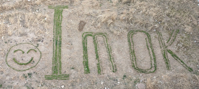  种“字”让劳动教育观念种在学生”心里”(图2)