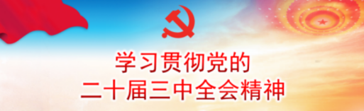 学习贯彻党的二十届三中全会精神